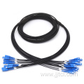 12Fiber Armoured patch cord